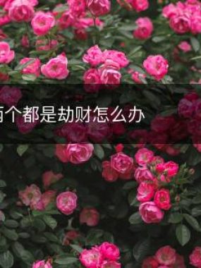 男女两个都是劫财怎么办