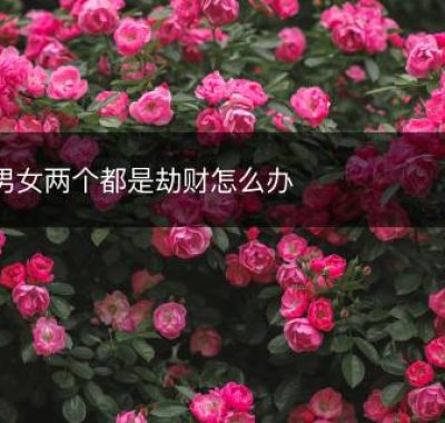 男女两个都是劫财怎么办