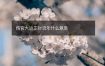 伤官大运正财流年什么意思