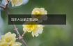 流年大运是正官劫财