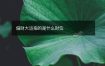 偏财大运指的是什么财位