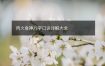 丙火食神八字口诀详解大全
