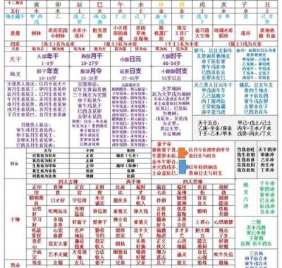 元亨利贞四柱八字排盘