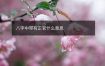 八字中带有正官什么意思