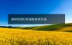 身弱伤官旺官星弱官杀为忌