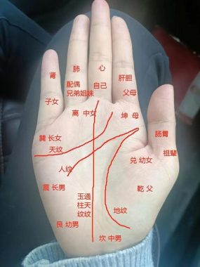 掌纹算命女人