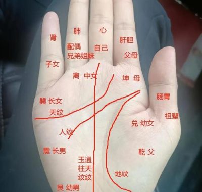 掌纹算命女人