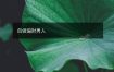 自做偏财男人