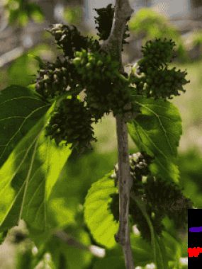 八字命理：八字相合成就富贵人生