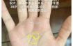 中年女命事业辉煌，八字命理揭秘成功秘诀