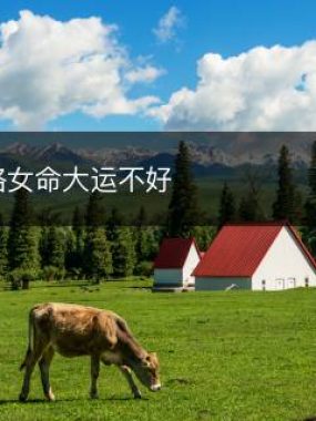 伤官格女命大运不好