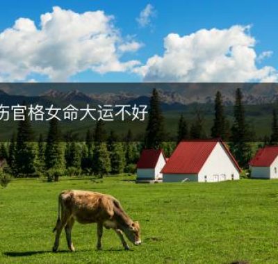 伤官格女命大运不好