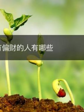 名字有偏财的人有哪些