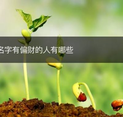 名字有偏财的人有哪些