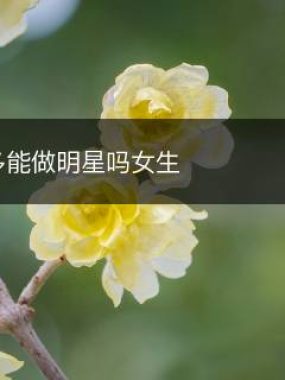 伤官多能做明星吗女生