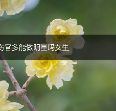 伤官多能做明星吗女生