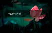 什么伤官为用