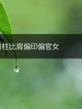 八字日柱比肩偏印偏官女