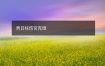 男日柱伤官克谁