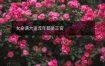 女命遇大运流年都是正官
