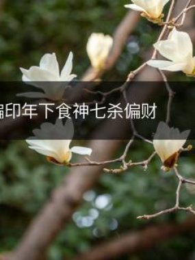 年上偏印年下食神七杀偏财