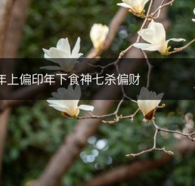 年上偏印年下食神七杀偏财