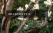 正财正官伤官偏官正印